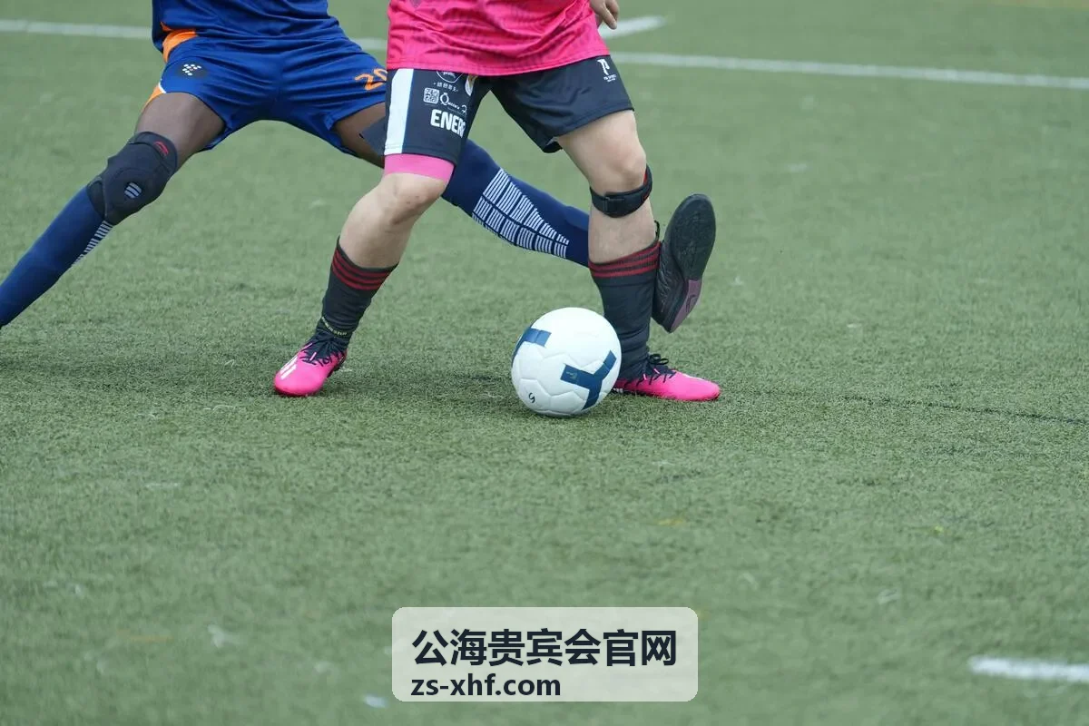 公海贵宾会智能清洗流程